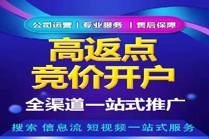 成功SEM托管案例解析