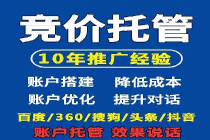 高效SEM托管服务：成功案例深度解析